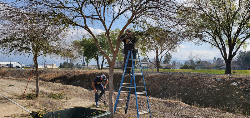 Orange Blossom Trail Cleanup 2023-3-4